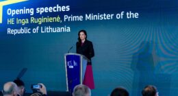 Інга Ругінене про безпілотник у Литві