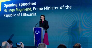 Інга Ругінене про безпілотник у Литві