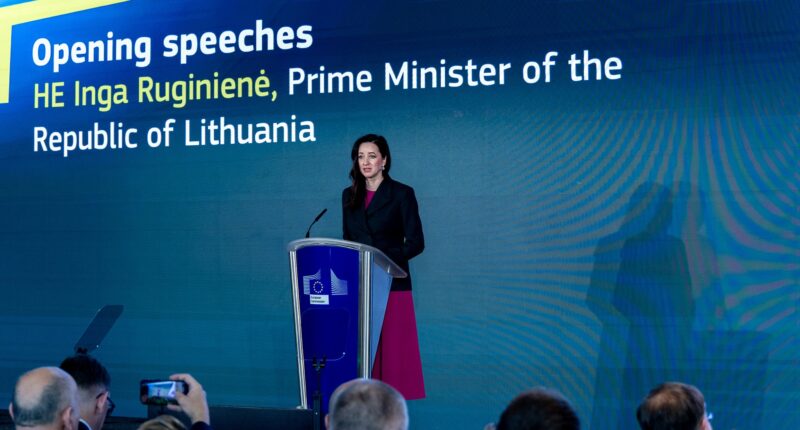 Інга Ругінене про безпілотник у Литві