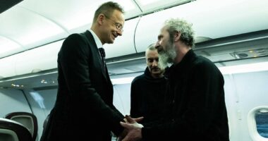 Путвін віддав Сійярто українських полонених з угорським громадянством