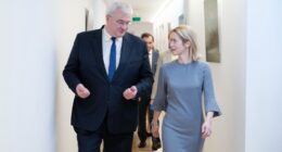 Сибіга і Каллас