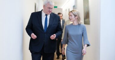 Сибіга і Каллас