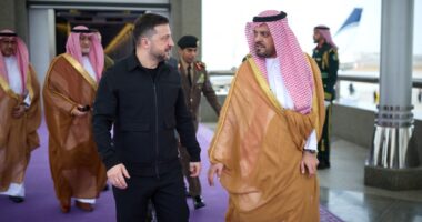 Зеленський та Спадкоємний принц Саудівської Аравії