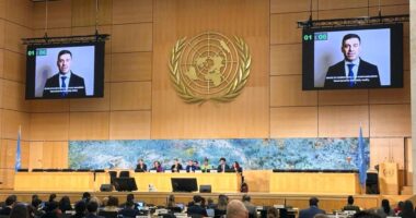 Український омбудсман Дмитро Лубінець