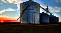 війна з Іраном впливає на агроекспорт України