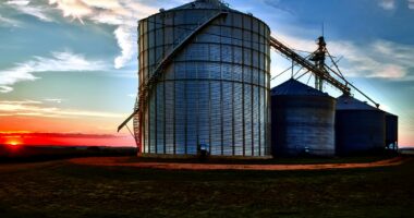 війна з Іраном впливає на агроекспорт України