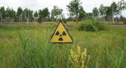 Чорнобильська зона