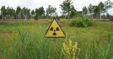 Чорнобильська зона