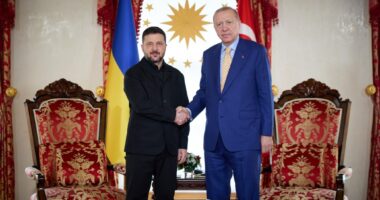 Зеленський та Ердоган