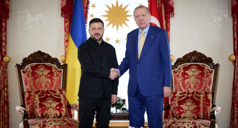 Зеленський та Ердоган