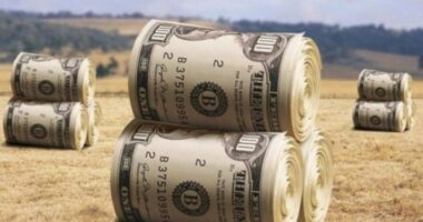 рейдерство землі