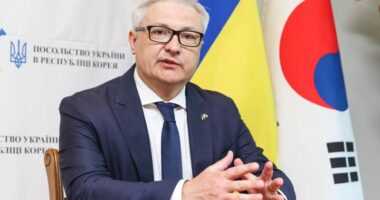 Посол з питань полонених і зниклих безвісти Дмитро Пономаренко