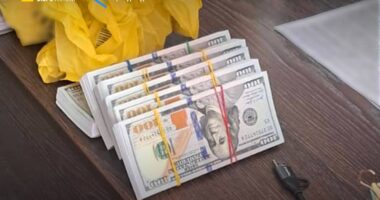 НАБУ і САП спіймали на хабарництві працівників СБУ та адвоката