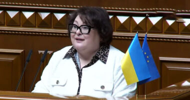Нардепка Олена Київець
