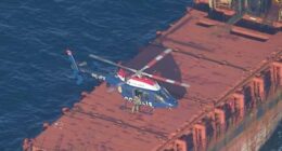 Швеція конфіскувала судно з українським зерном