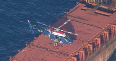 Швеція конфіскувала судно з українським зерном