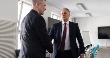 Федоров і Гельмут Раух