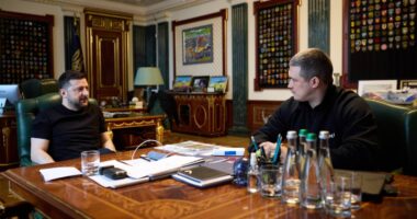 Зеленський та Федоров