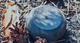 Армія РФ в Україні скидає з дронів протипіхотні міни “Пряник