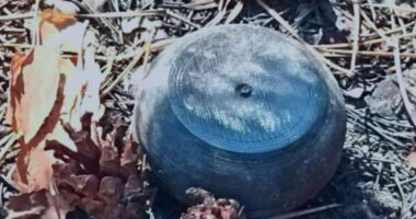 Армія РФ в Україні скидає з дронів протипіхотні міни “Пряник