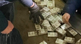 БЕБ завершило розслідування про незаконний вивіз за кордон понад тисячі пачок сигарет, які сховали у причепі