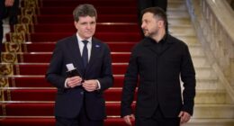 Нікушор Дан і Володимир Зеленський