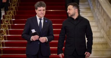 Нікушор Дан і Володимир Зеленський