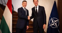 Мадяр і Рютте