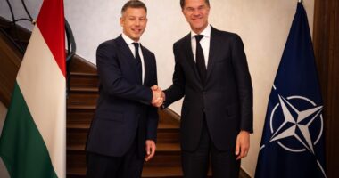 Мадяр і Рютте