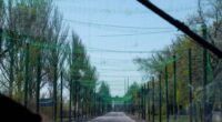 Антидронові сітки