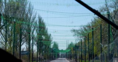 Антидронові сітки