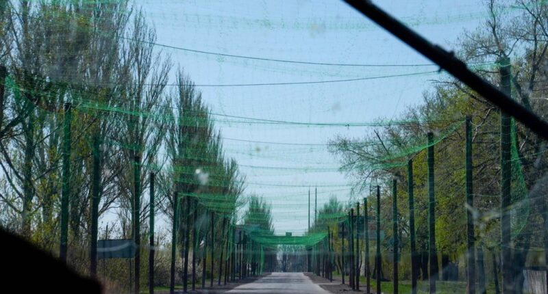 Антидронові сітки