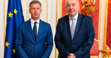 Прем'єр-міністр Угорщини Петер Мадяр і президент Угорщини Тамаш Шуйок