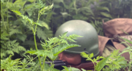 115 ОМБр