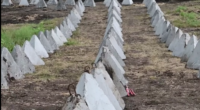 Одесу готують до кругової оборони