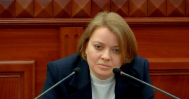 Під час засідання Київради депутат Дмитро Білоцерковець поставив питання керівниці департаменту КМДА Вікторії Іцкович щодо її зв’язків із Петром Оленичем.