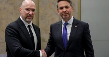 Шмигаль і Альпарслан Байрактар