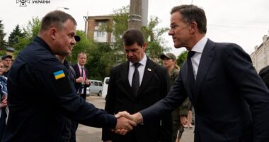 Рютте в Києві