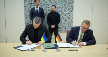 Зеленський, Федоров та Пісторіус