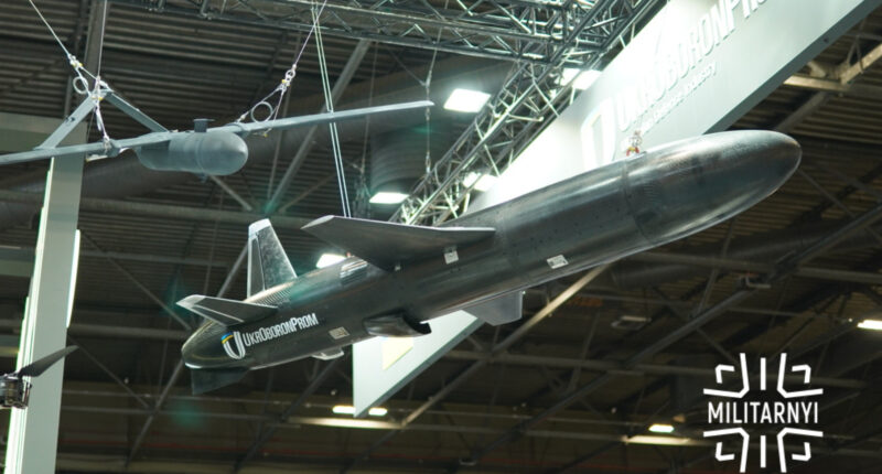 Ударний безпілотний літальний апарат UAV-290