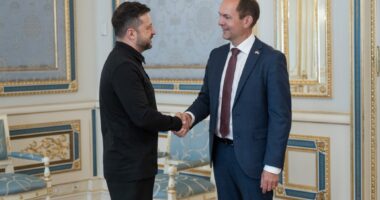 Зеленський та Бруус
