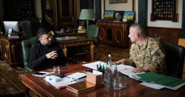 Зеленський та Паліса