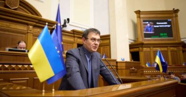 Данило Гетманцев під час обговорення результатів роботи БЕБ щодо детінізації паливного ринку України