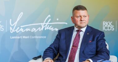 Валерій Залужний