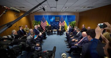 Трамп і Зеленський