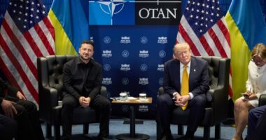 Володимир Зеленський та Дональд Трамп