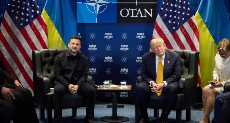 Володимир Зеленський та Дональд Трамп