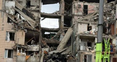 Зруйнований будинок на Виноградарі
