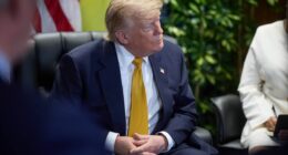 Трамп саміт НАТО