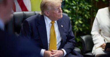 Трамп саміт НАТО